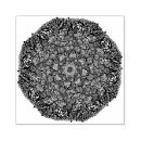 Search for mandala rubber stamps Meditation
