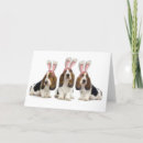 Search for basset hound cards Puppies