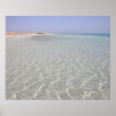 Search for from all posters Vacations