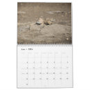 Search for wildlife calendars Nature