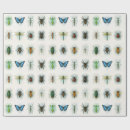 Search for insect gift wrap Beetle