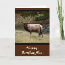Search for elk cards Mammal