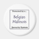 Search for secure magnets Dog