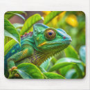 Search for chameleon electronics Lizard