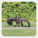 Search for juvenile stickers Wildlife