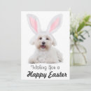 Search for dog easter cards Bunny