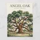 Search for angel oak tree South carolina