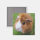 Search for red haired magnets Long hair