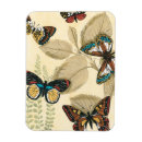 Search for insect magnets Cream