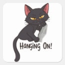 Search for hanging cat stickers Funny