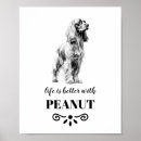 Search for cocker posters Cocker spaniel dog
