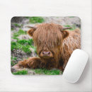 Search for highland cow mousepads Farm animal
