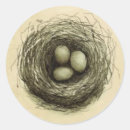 Search for robin bird stickers Eggs