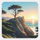 Search for carmel stickers California