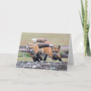 Search for pups cards Fox