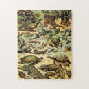 Search for chameleons puzzles Reptiles