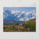 Search for altai postcards Mongolia