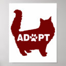 Search for cat adoption posters Kitty