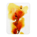 Search for blots magnets Background