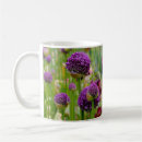Search for allium mugs Flowers