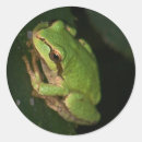 Search for amphibian stickers Wild