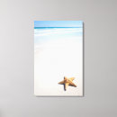 Search for high angle view art Nature