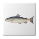 Search for salmon tiles Fish