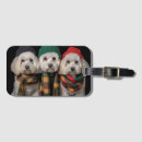 Search for bichon accessories Winter