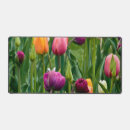 Search for beds electronics Tulips