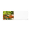 Search for butterfly return address labels Garden