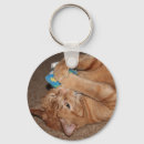 Search for orange tiger key rings Cute