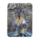Search for critter magnets Wildlife