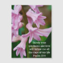 Search for bible verse photography Flowers