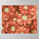 Search for vintage sunflower posters Floral