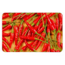 Search for chilli peppers magnets Food