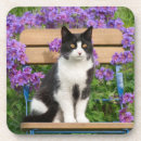 Search for sit coasters Flowers