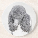 Search for poodle coasters Black