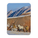 Search for horse seasonal cards Blue