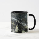 Search for caimans mugs Reptile