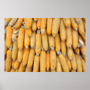 Search for dried posters Agriculture