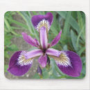 Search for purple iris mousepads Pretty