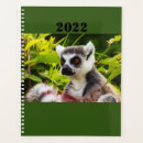Search for eye office supplies Animal