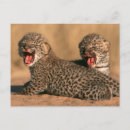 Search for adaptable postcards Adaptation