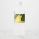 Search for juicy Yellow