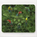 Search for bird lovers electronics Pets