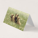 Search for grizzly bear cards Blank