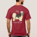 Search for havanese tshirts Bichon havanais