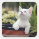 Search for boxing day photography Baby animals