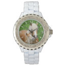 Search for foal accessories Animal