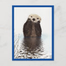 Search for otter postcards Animal